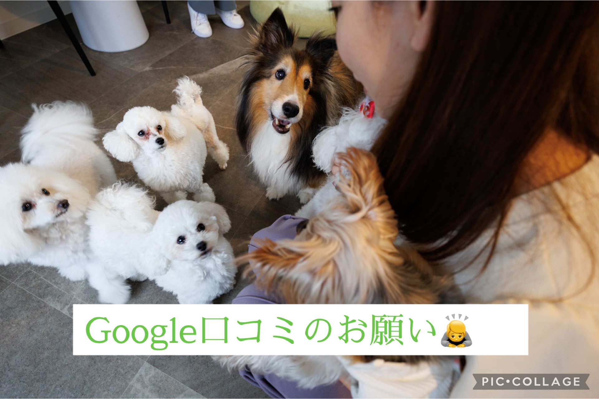 今回はGoogle口コミにご協力頂きたい。というお話です🙇‍♀️