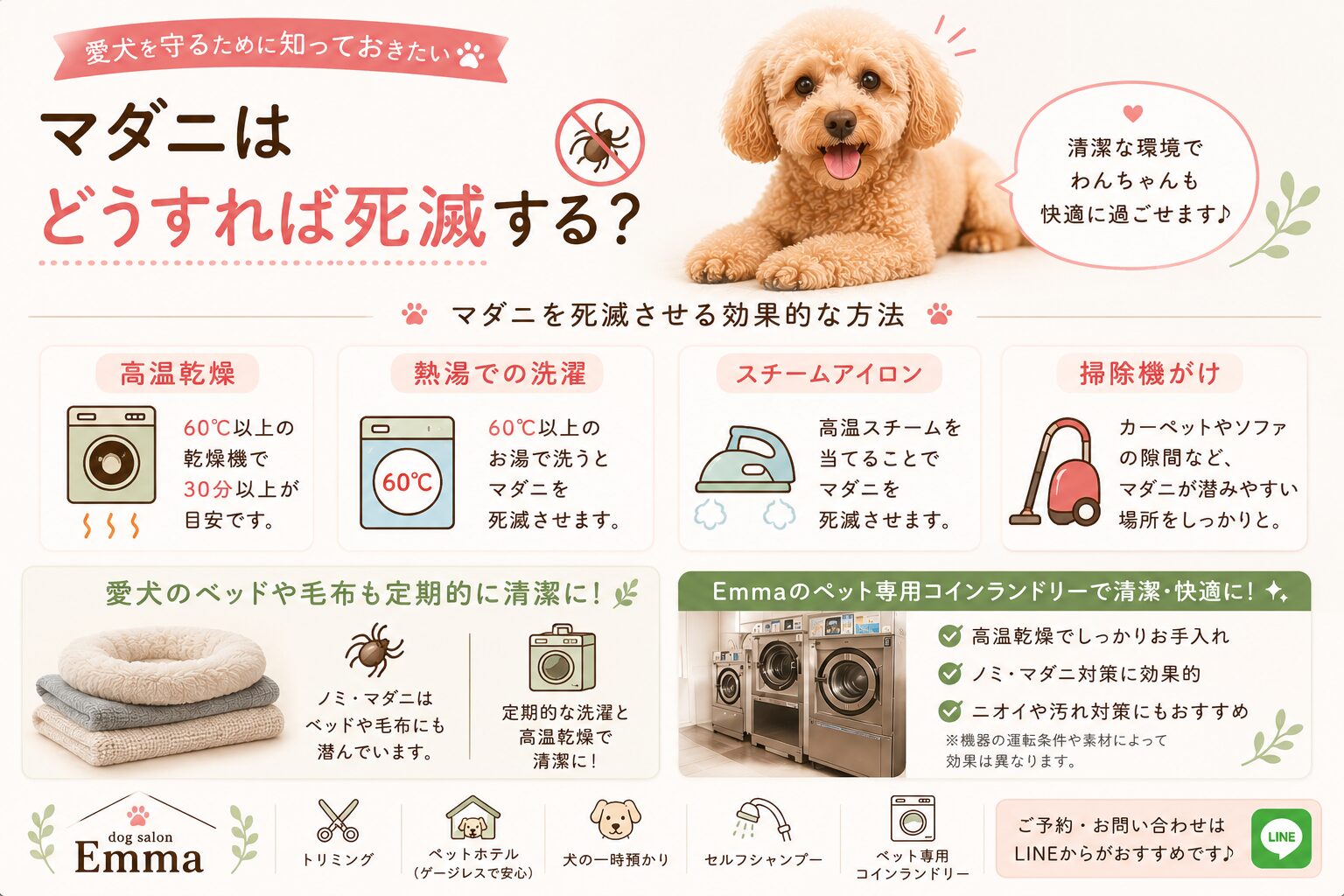 マダニはどうすれば死滅する？