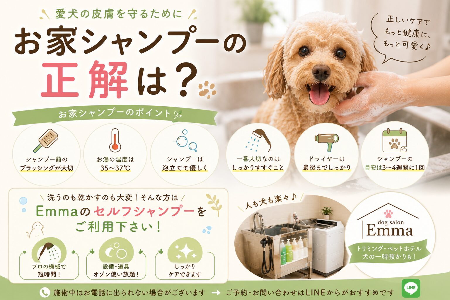 お家シャンプーの正解は?洗ってそのままにしてませんか?