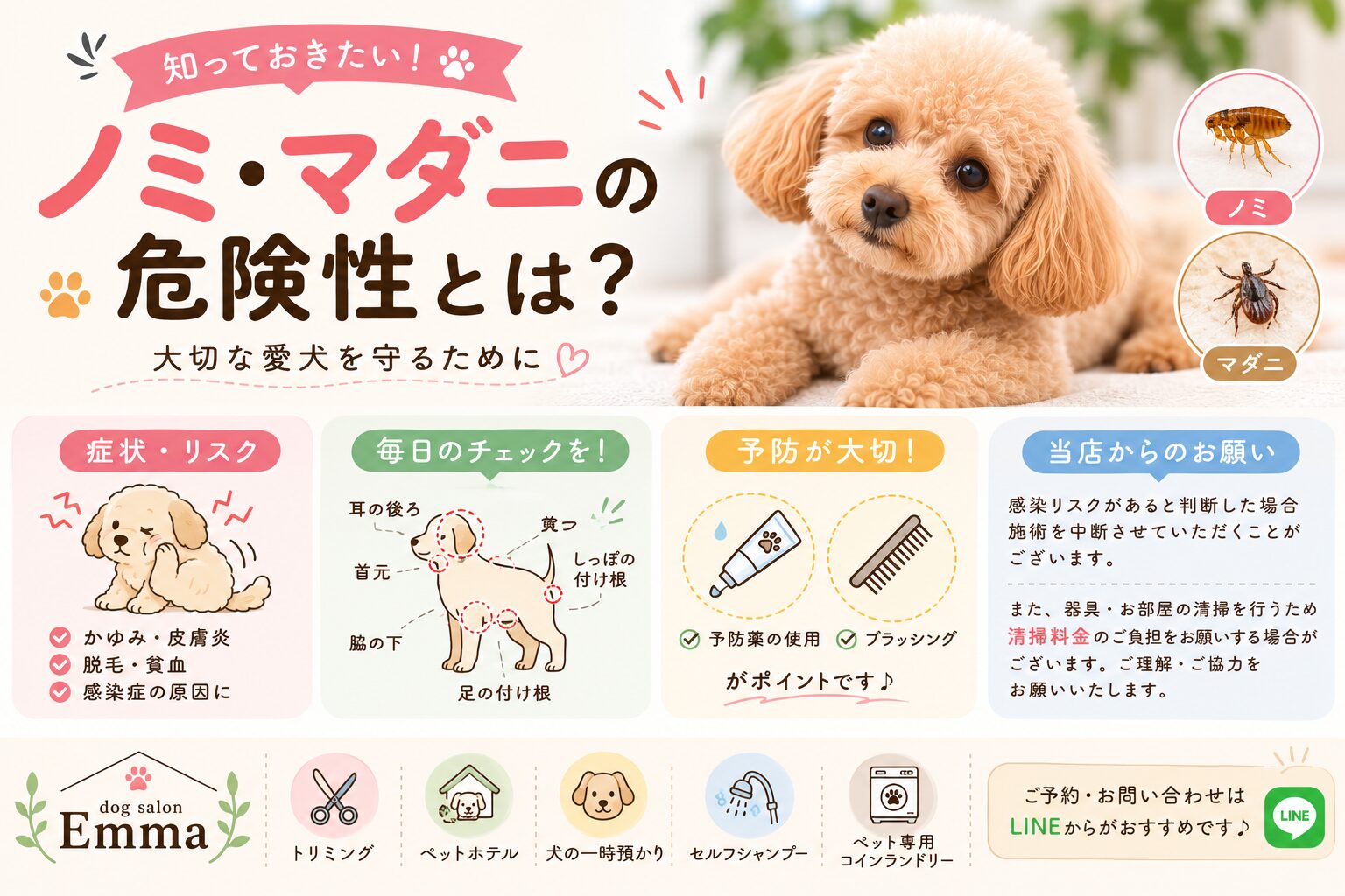 ノミ・マダニの危険性とは？