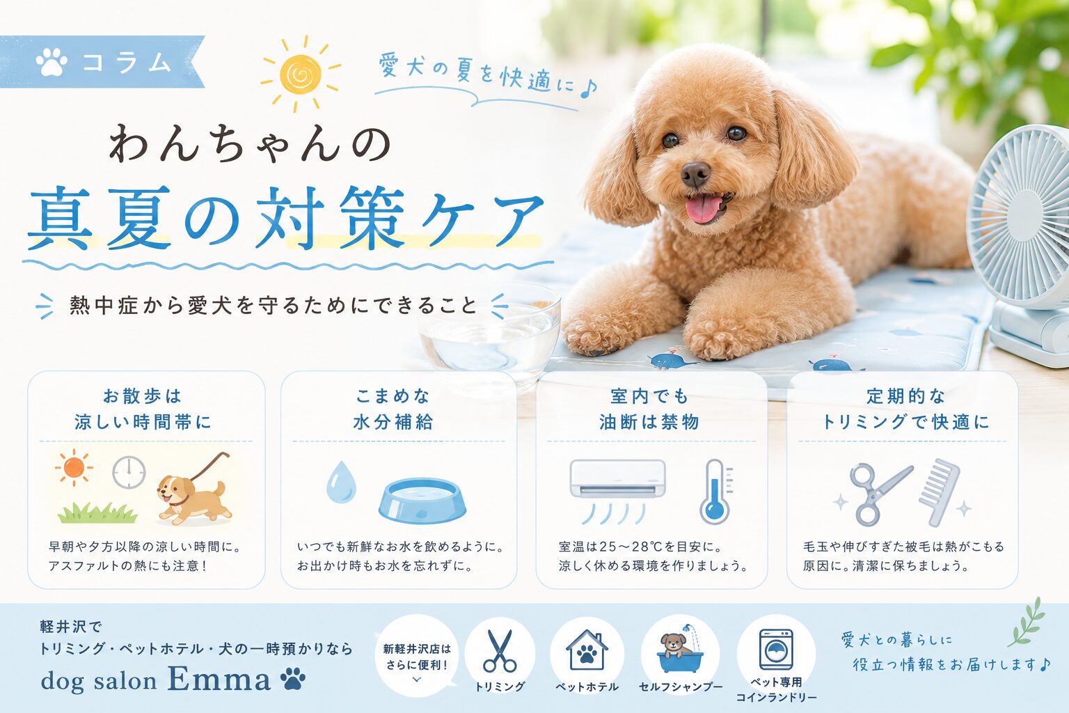 わんちゃんの真夏の暑さ対策☀