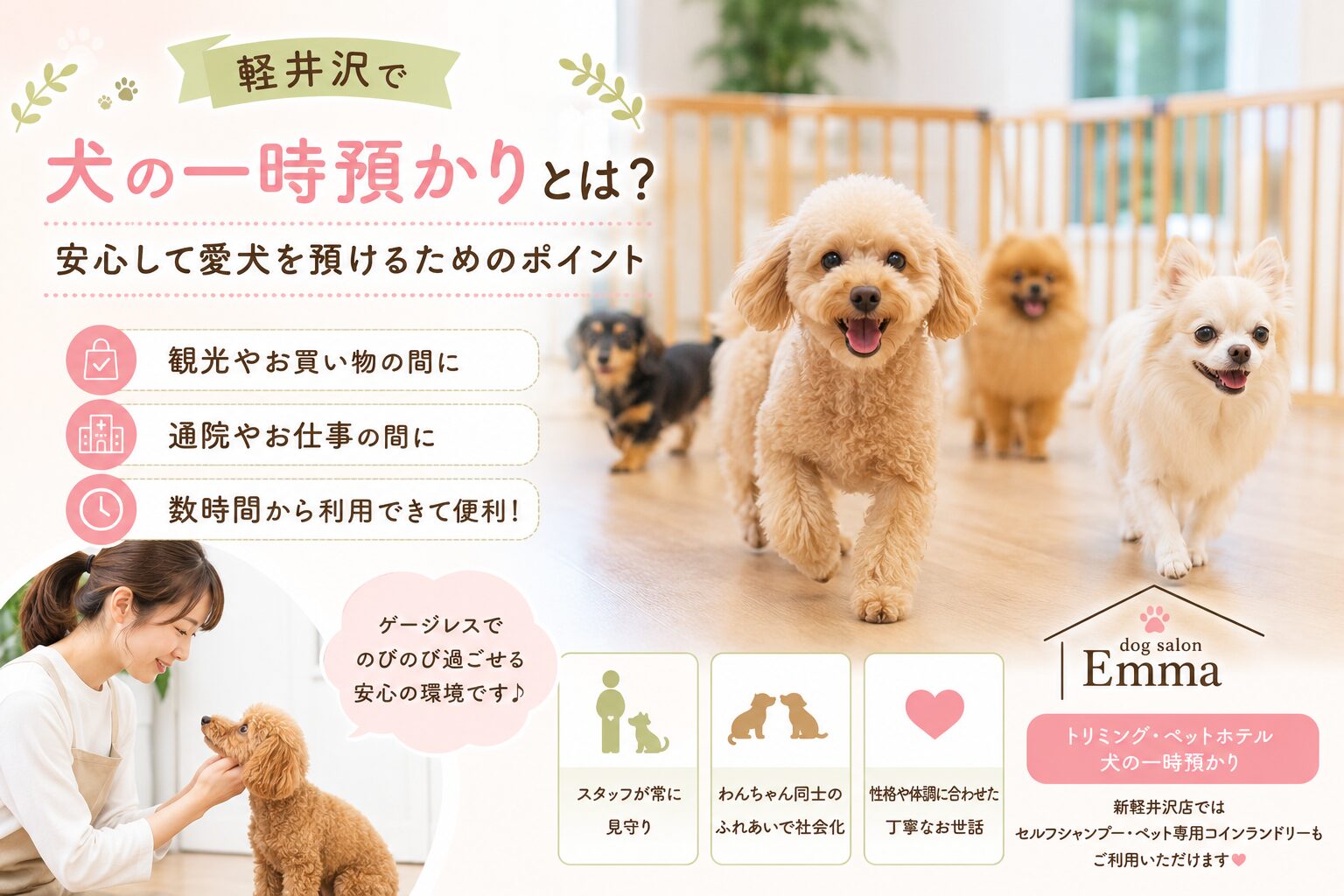 軽井沢で犬の一時預かりとは？どこを見て決める？