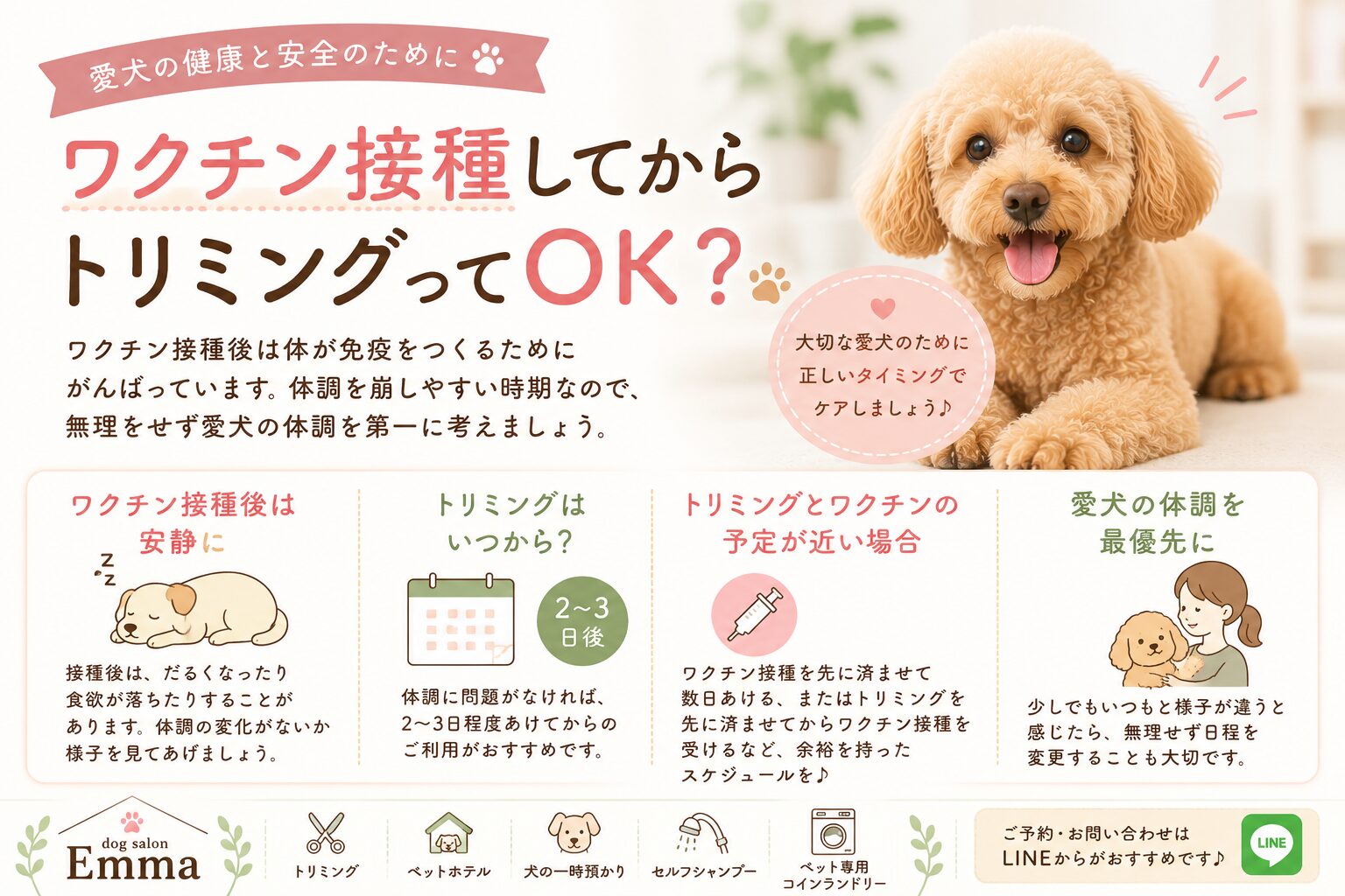 ワクチン接種してからトリミングってOK？｜愛犬の体調を第一に考えましょう