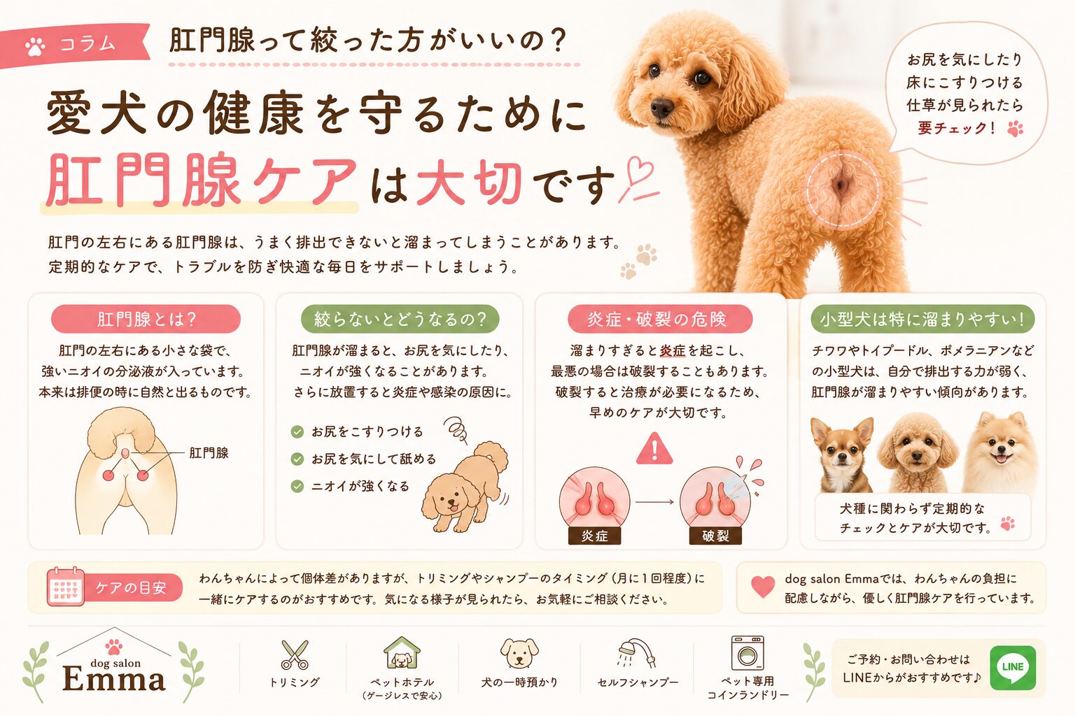 肛門腺って何？なぜ絞るの？