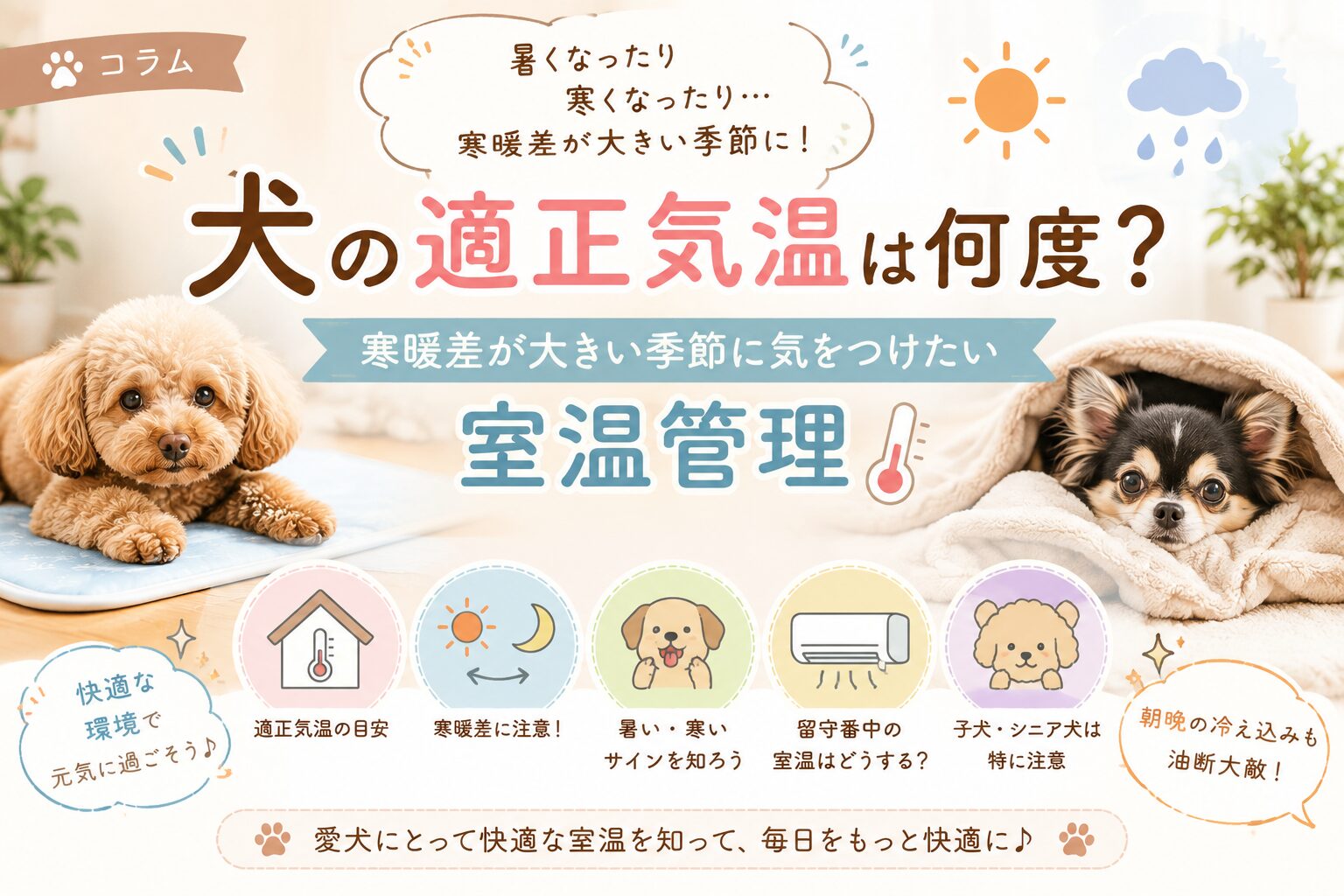 犬の適正気温は何度？寒暖差が大きい季節に気を付けたい室温管理
