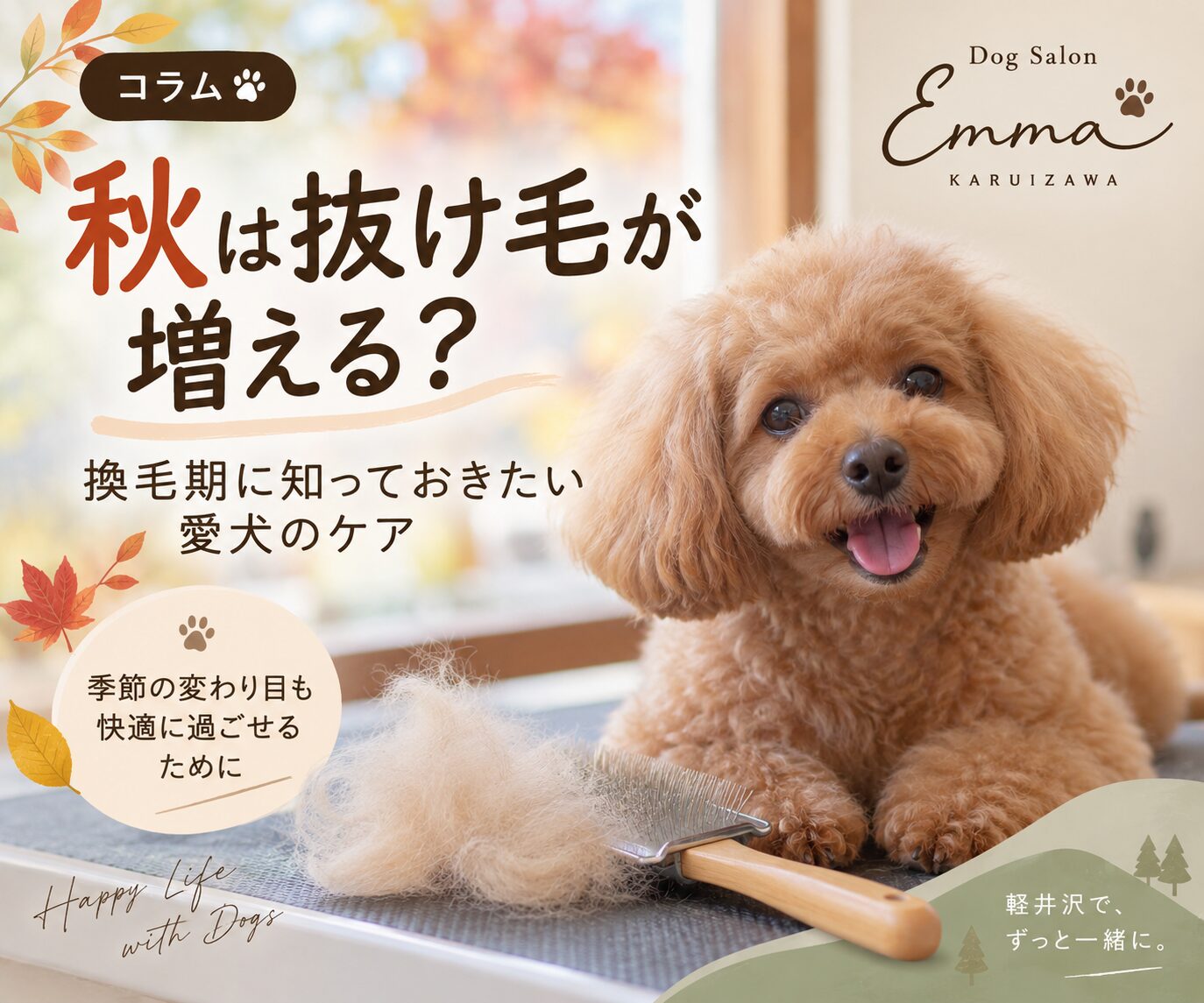 秋は抜け毛が増える？換毛期に知っておきたい愛犬のケア